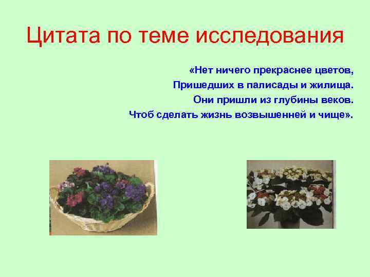 Цитата по теме исследования «Нет ничего прекраснее цветов, Пришедших в палисады и жилища. Они