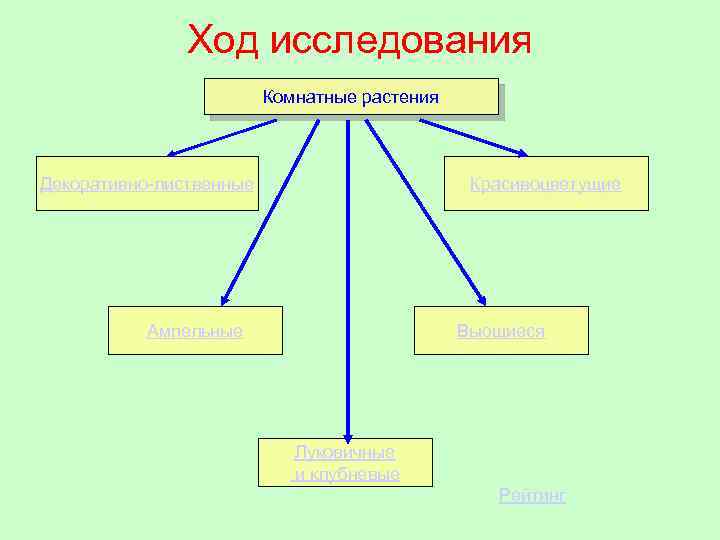 Ход исследования Комнатные растения Декоративно-лиственные Красивоцветущие Ампельные Вьющиеся Луковичные и клубневые Рейтинг 