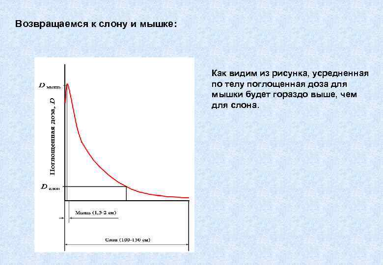 Возвращаемся к слону и мышке: Как видим из рисунка, усредненная по телу поглощенная доза