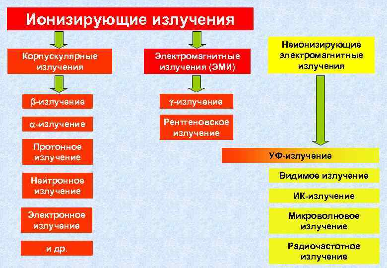 Ионизирующие излучения Корпускулярные излучения Электромагнитные излучения (ЭМИ) β-излучение Неионизирующие электромагнитные излучения Рентгеновское излучение Протонное