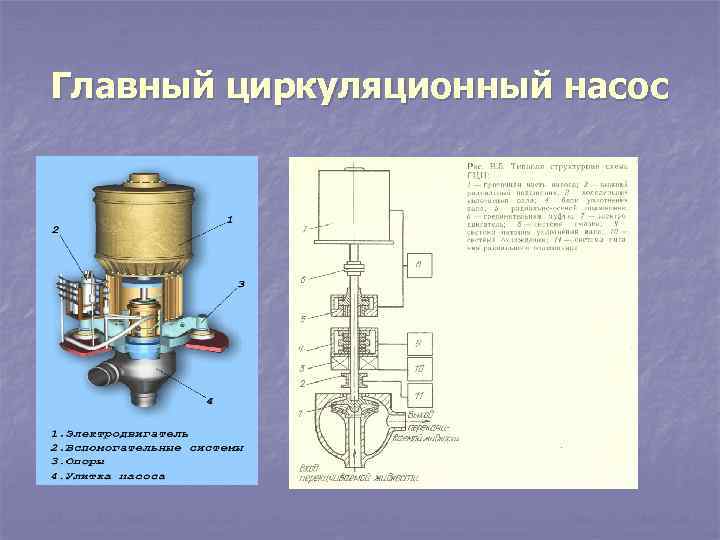 Главный циркуляционный насос 