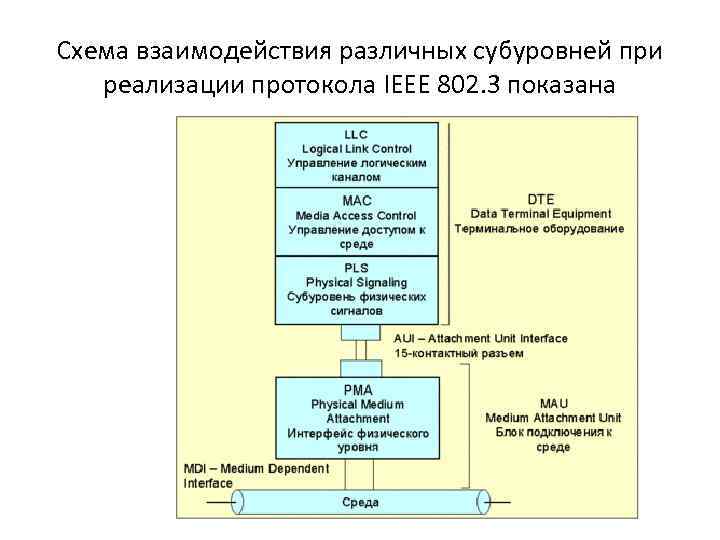 Схема взаимодействия различных субуровней при реализации протокола IEEE 802. 3 показана 