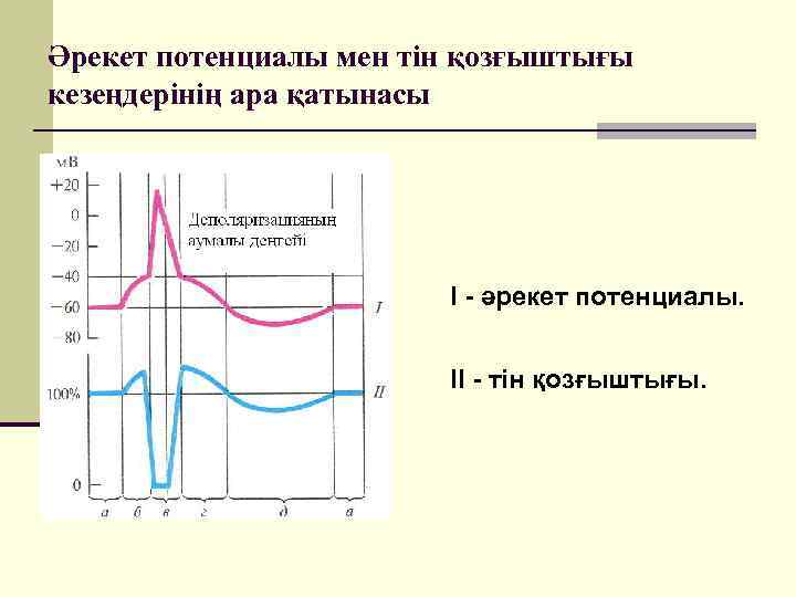 Әрекет потенциалы мен тін қозғыштығы кезеңдерінің ара қатынасы І - әрекет потенциалы. ІІ -