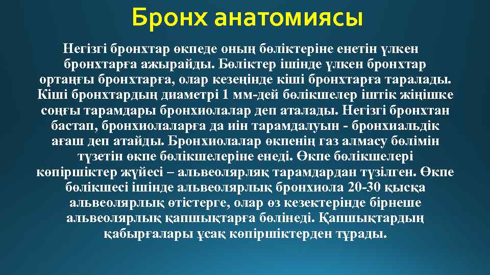 Бронх анатомиясы Негізгі бронхтар өкпеде оның бөліктеріне енетін үлкен бронхтарға ажырайды. Бөліктер ішінде үлкен