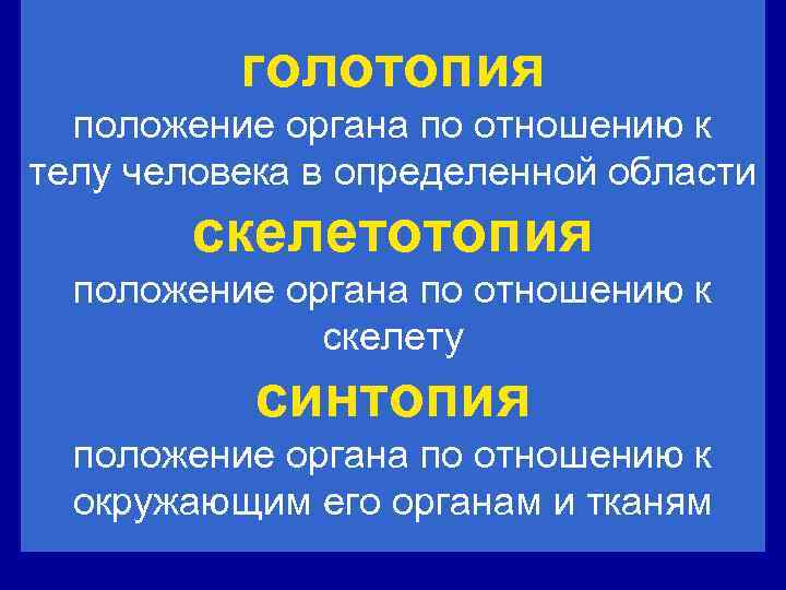 голотопия положение органа по отношению к телу человека в определенной области скелетотопия положение органа