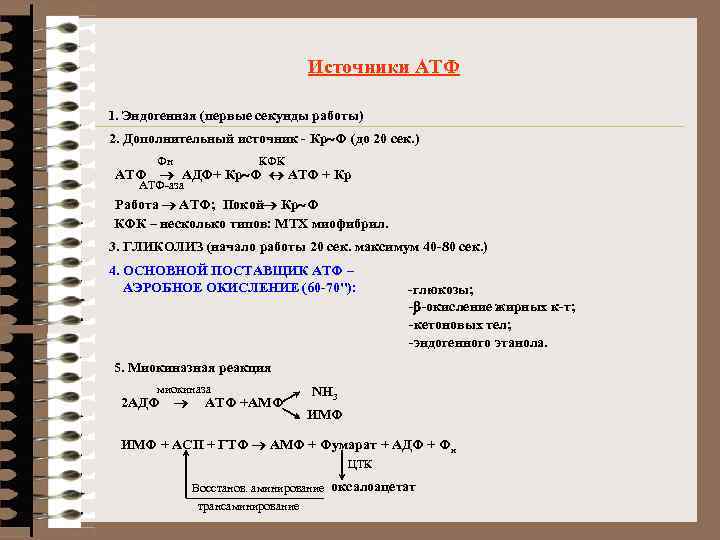 Источники АТФ 1. Эндогенная (первые секунды работы) 2. Дополнительный источник - Кр~Ф (до 20