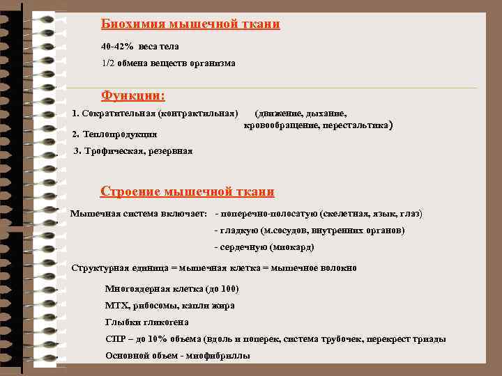 Биохимия мышечной ткани 40 -42% веса тела 1/2 обмена веществ организма Функции: 1. Сократительная