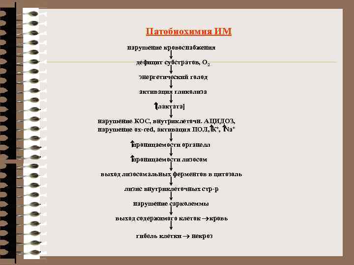 Патобиохимия ИМ нарушение кровоснабжения дефицит субстратов, О 2 энергетический голод активация гликолиза [лактата] нарушение