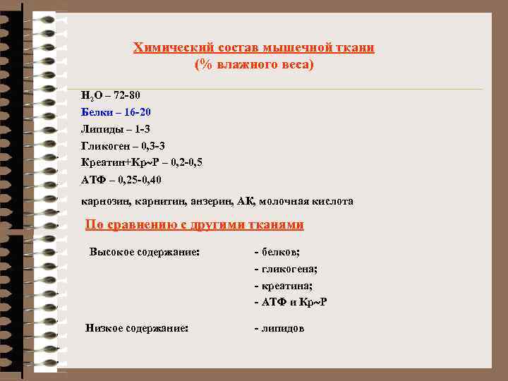 Химический состав мышечной ткани (% влажного веса) H 2 O – 72 -80 Белки