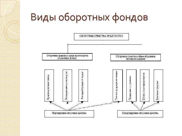 Оборотные виды