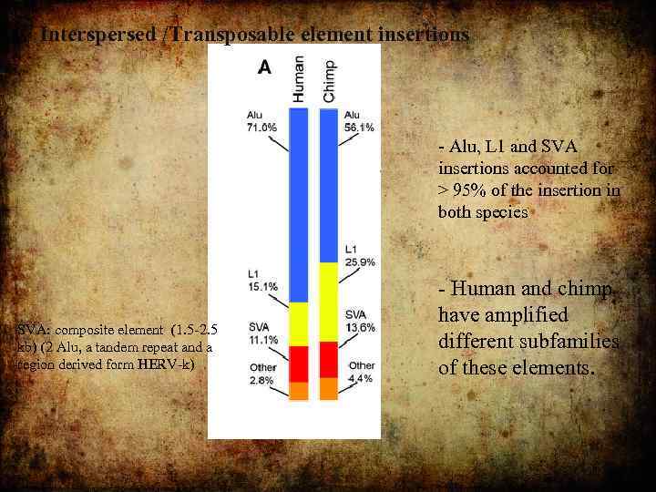 Interspersed /Transposable element insertions - Alu, L 1 and SVA insertions accounted for >