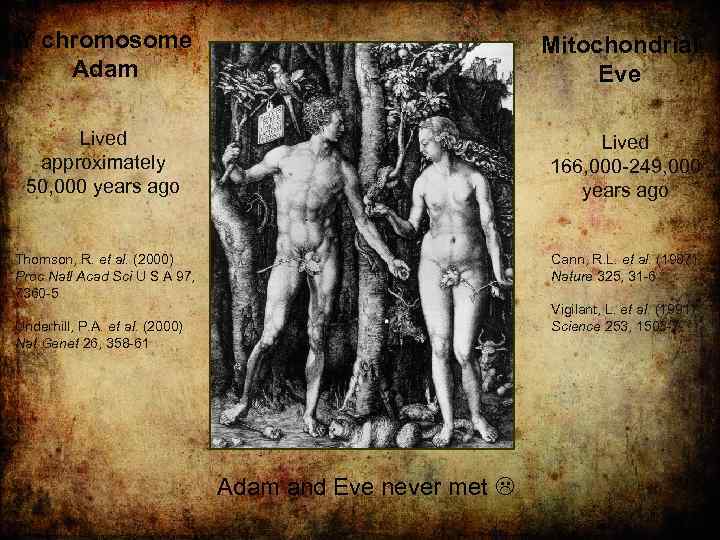 Y chromosome Adam Mitochondrial Eve Lived approximately 50, 000 years ago Lived 166, 000