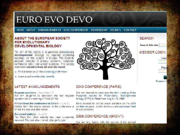 (1) The law of continental and local adaptive radiation; (2) The law of homoplasy
