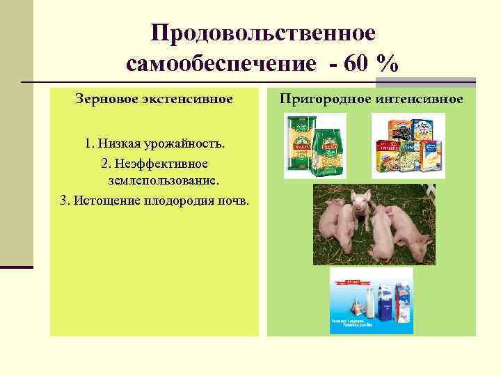 Продовольственное самообеспечение - 60 % Зерновое экстенсивное 1. Низкая урожайность. 2. Неэффективное землепользование. 3.
