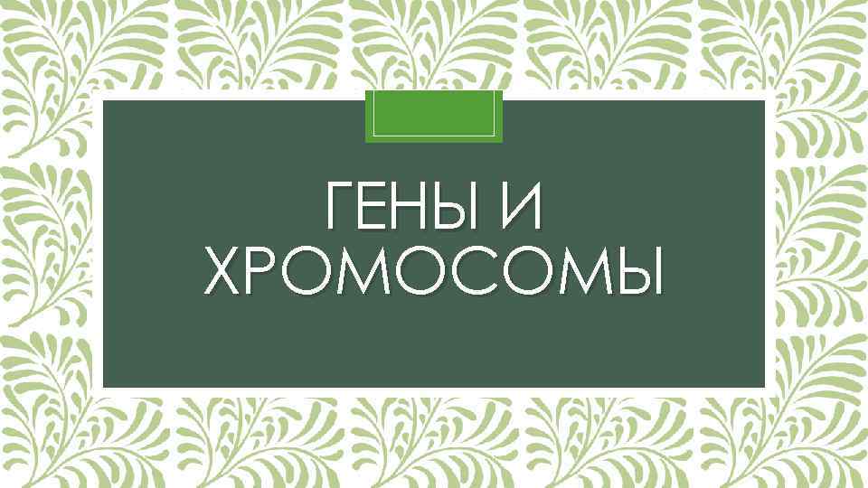 ГЕНЫ И ХРОМОСОМЫ 