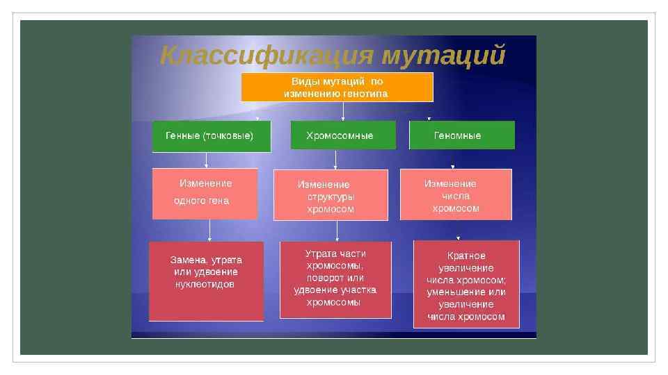 Виды мутаций презентация биология 10 класс