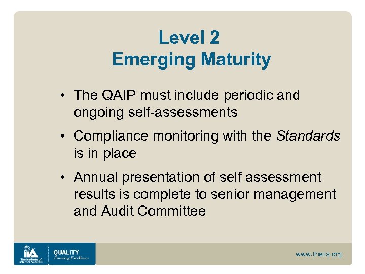 Level 2 Emerging Maturity • The QAIP must include periodic and ongoing self-assessments •