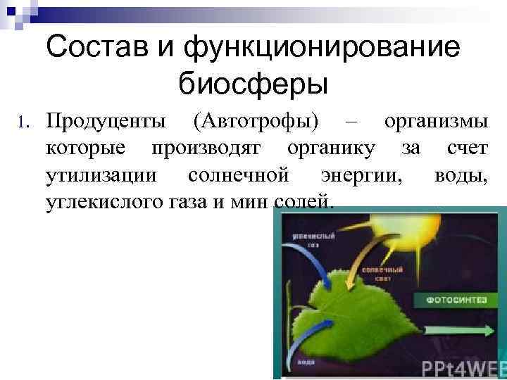 Презентация на тему биосфера 9 класс по биологии