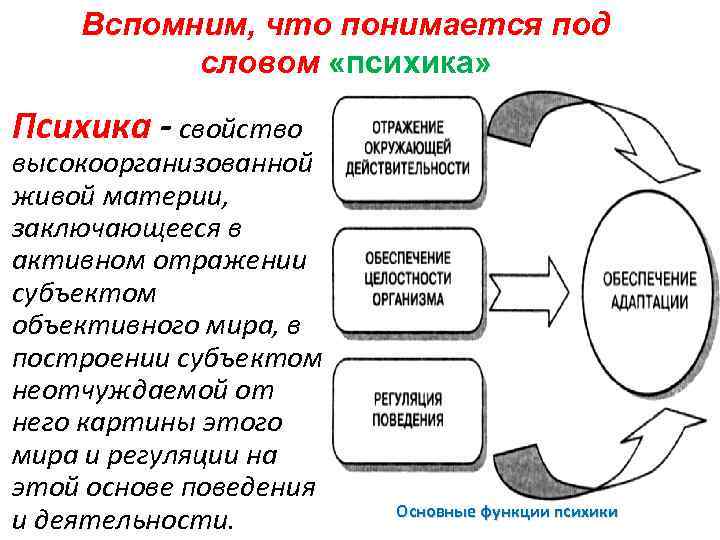 Вспомним, что понимается под словом «психика» Психика - свойство высокоорганизованной живой материи, заключающееся в