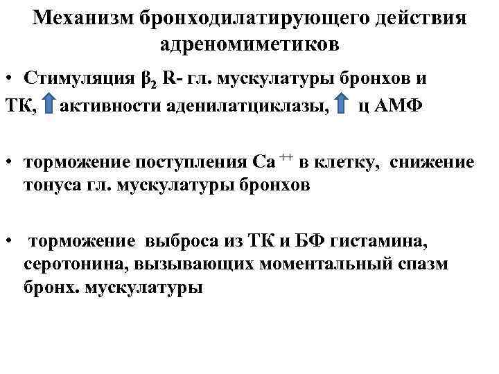 Механизм бронходилатирующего действия адреномиметиков • Стимуляция β 2 R- гл. мускулатуры бронхов и ТК,