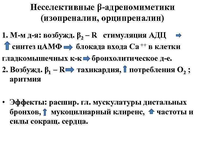 Неселективные β-адреномиметики (изопреналин, орципреналин) 1. М-м д-я: возбужд. β 2 – R стимуляция АДЦ