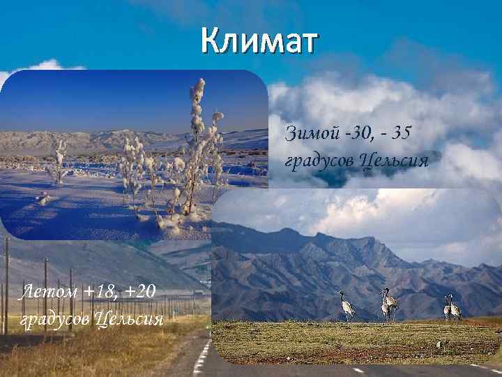 Климат Зимой -30, - 35 градусов Цельсия Летом +18, +20 градусов Цельсия 