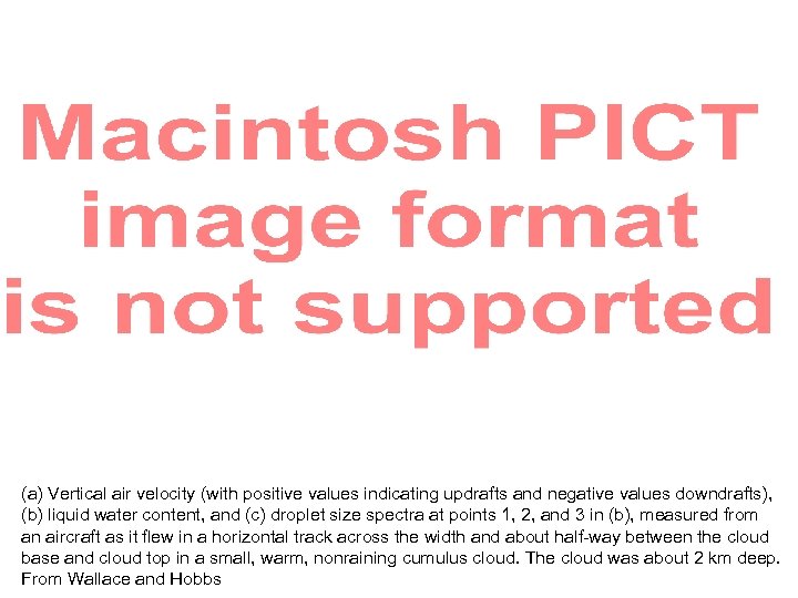 (a) Vertical air velocity (with positive values indicating updrafts and negative values downdrafts), (b)