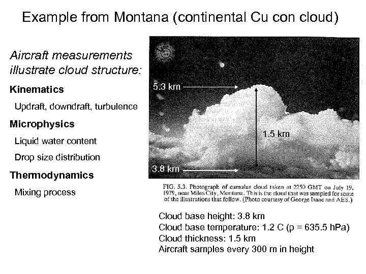 Example from Montana (continental Cu con cloud) Aircraft measurements illustrate cloud structure: Kinematics 5.