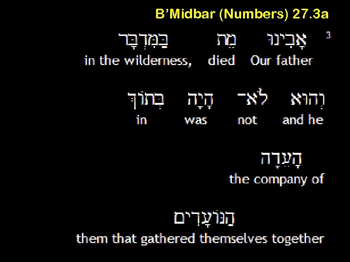 B’Midbar (Numbers) 27. 3 a 
