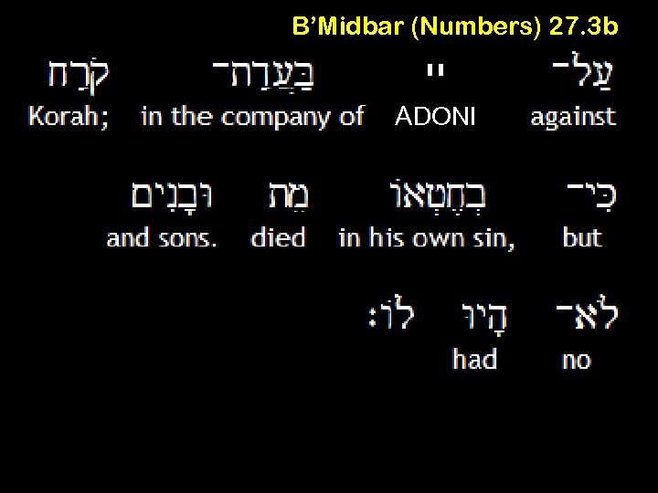 B’Midbar (Numbers) 27. 3 b יי ADONI 