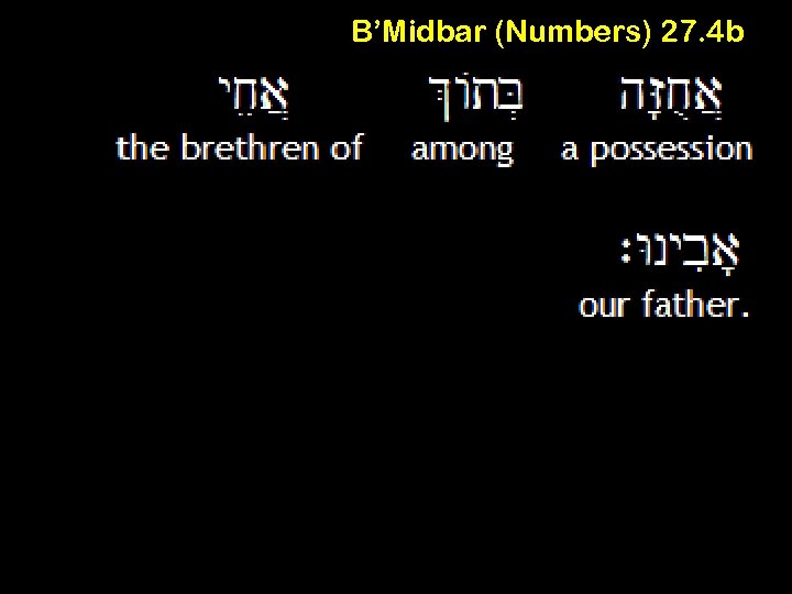 B’Midbar (Numbers) 27. 4 b 