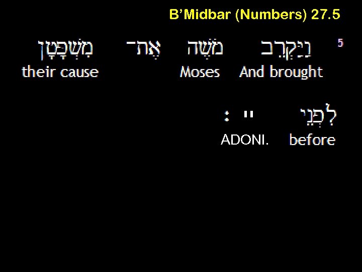B’Midbar (Numbers) 27. 5 יי ADONI. 
