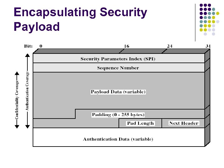Encapsulating Security Payload 