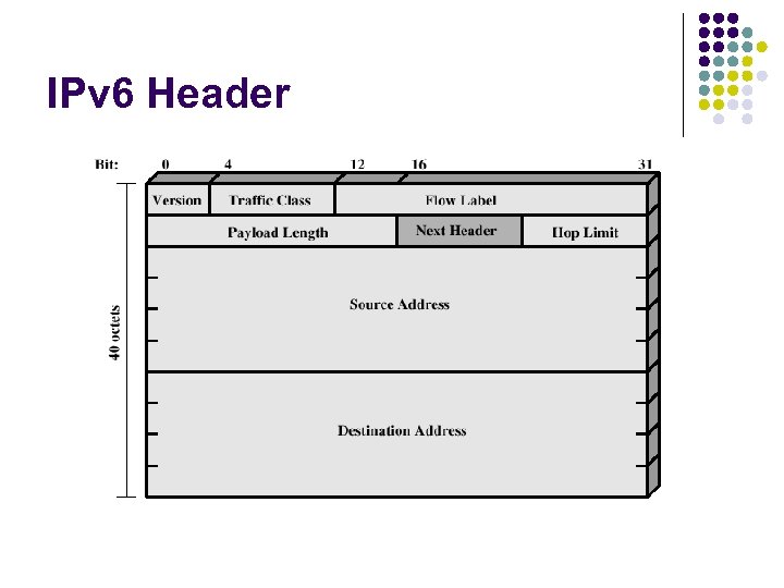 IPv 6 Header 
