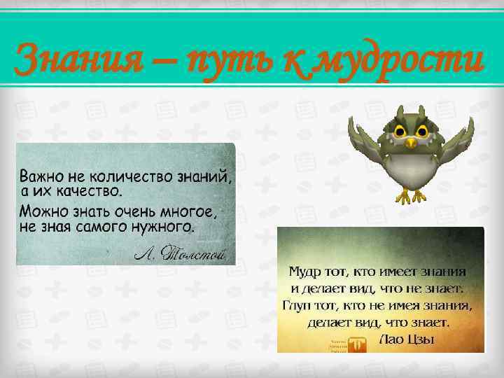 Знания – путь к мудрости 