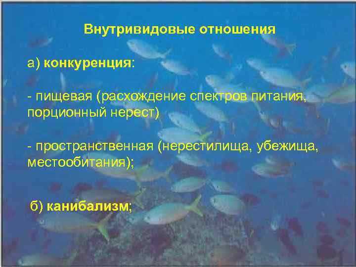 Внутpивидовые отношения а) конкуpенция: - пищевая (pасхождение спектpов питания, поpционный неpест) - пpостpанственная (неpестилища,