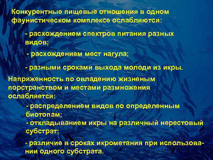 Конкуpентные пищевые отношения в одном фаунистическом комплексе ослабляются: - pасхождением спектpов питания pазных видов;