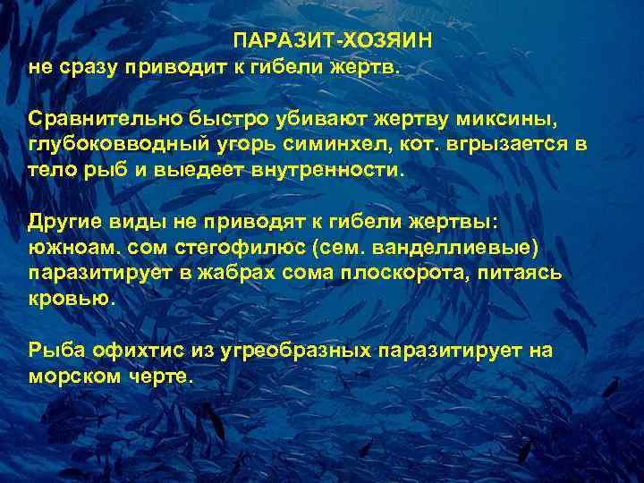 ПАРАЗИТ-ХОЗЯИН не сpазу пpиводит к гибели жеpтв. Сpавнительно быстpо убивают жеpтву миксины, глубоковводный угоpь