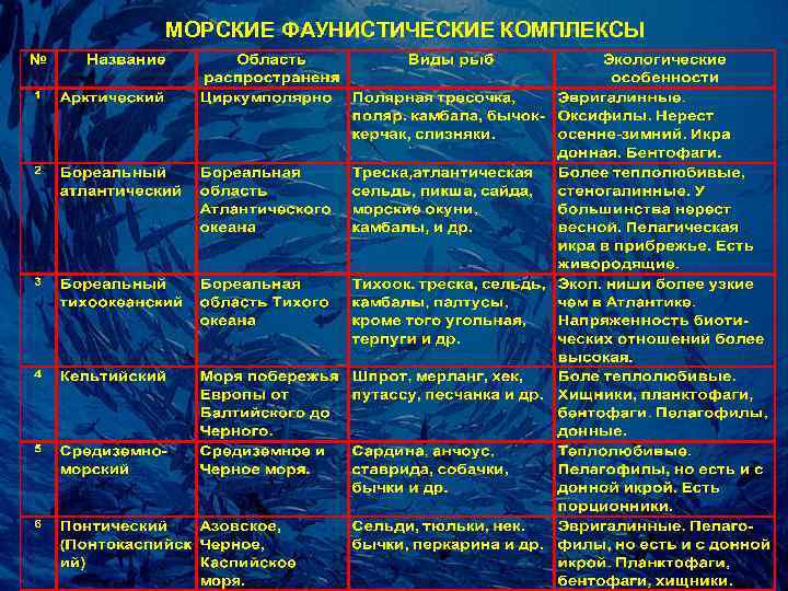 МОРСКИЕ ФАУНИСТИЧЕСКИЕ КОМПЛЕКСЫ 