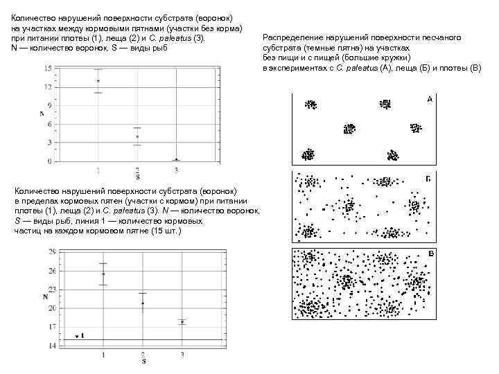 Количество нарушений поверхности субстрата (воронок) на участках между кормовыми пятнами (участки без корма) при