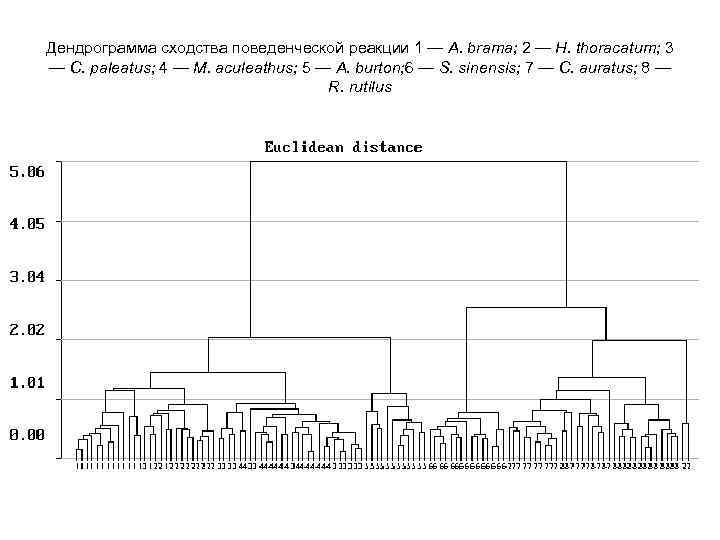 Дендрограмма сходства поведенческой реакции 1 — A. brama; 2 — H. thoracatum; 3 —