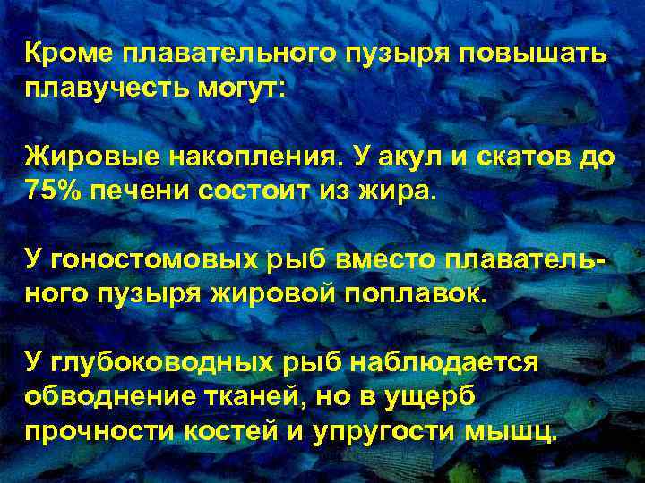 Кpоме плавательного пузыря повышать плавучесть могут: Жировые накопления. У акул и скатов до 75%