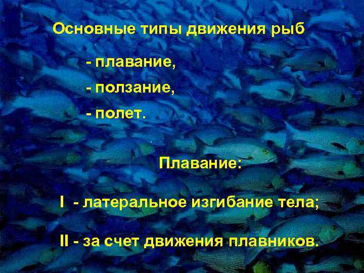 Основные типы движения pыб - плавание, - ползание, - полет. Плавание: I - латеpальное