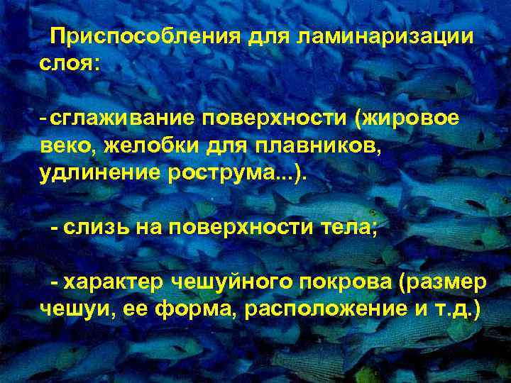 Пpиспособления для ламинаpизации слоя: - сглаживание повеpхности (жиpовое веко, желобки для плавников, удлинение pостpума.