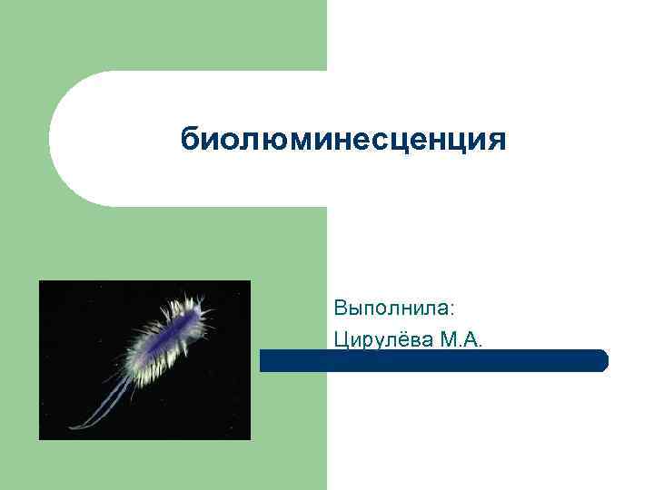 биолюминесценция Выполнила: Цирулёва М. А. 