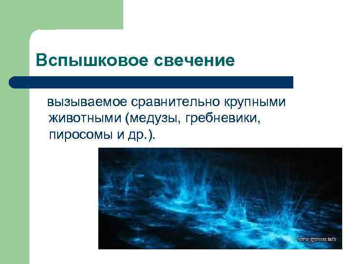 Вспышковое свечение вызываемое сравнительно крупными животными (медузы, гребневики, пиросомы и др. ). 