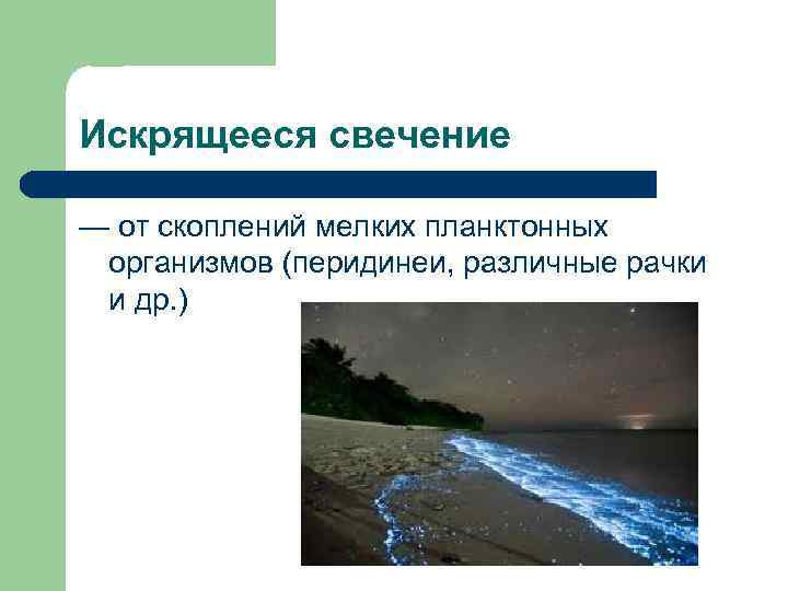Искрящееся свечение — от скоплений мелких планктонных организмов (перидинеи, различные рачки и др. )