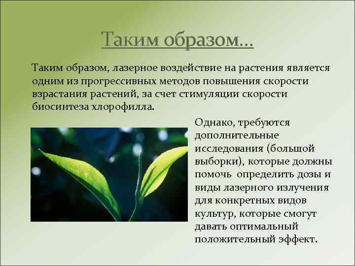 Таким образом… Таким образом, лазерное воздействие на растения является одним из прогрессивных методов повышения