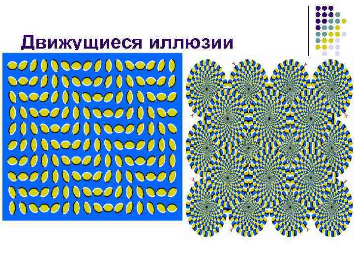 Движущиеся иллюзии 