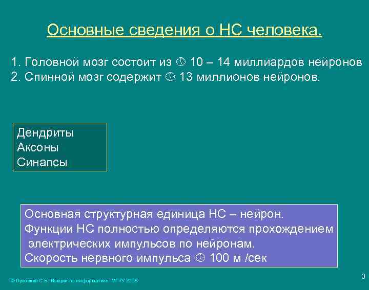 Основные сведения о НС человека. 1. Головной мозг состоит из 10 – 14 миллиардов